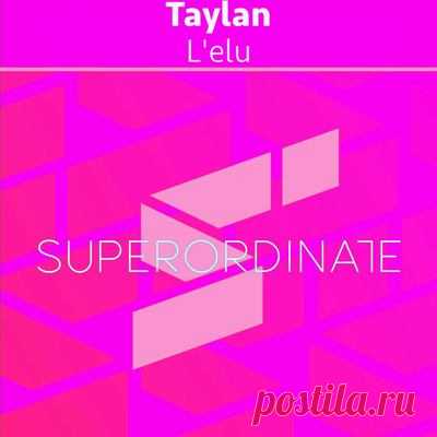 Taylan - L'elu