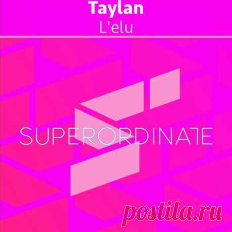 Taylan - L'elu