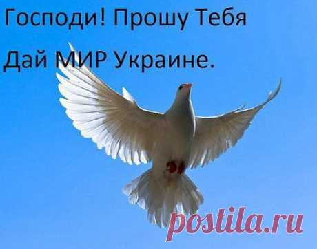 (8) Одноклассники