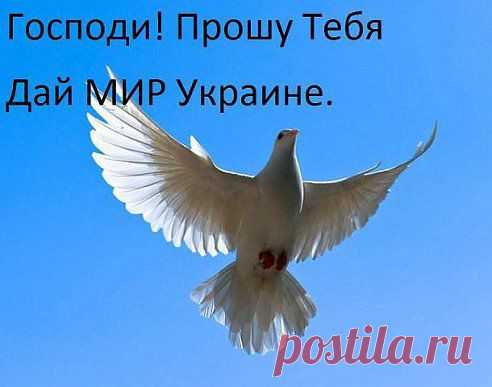 (8) Одноклассники