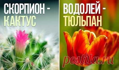 Какой вы цветок по знаку зодиака Если вы хотя бы раз читали астрологические данные о своем знаке Зодиака, то наверняка знаете, что у каждого есть свой тотем, камень, животное и даже растение. Их можно считать символами знаков Зодиака...
