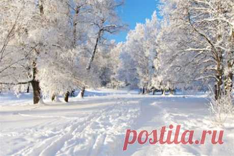 moroz.jpg (450×300)