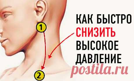 4 работающих способа сбросить давление без таблеток. Теперь с женой чувствуем себя превосходно!
