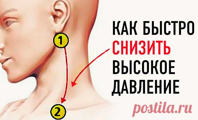 4 работающих способа сбросить давление без таблеток. Теперь с женой чувствуем себя превосходно!