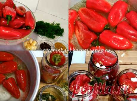 Маринованный перец по-армянски с зеленью и чесноком - Заготовки от Перчинки - Perchinka Hozyayushka.ru