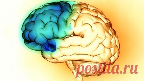 Дневник Rimmynja