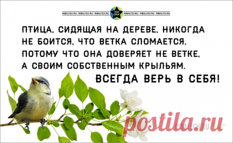 ВЕСЕЛЫЕ КАРТИНКИ ДЛЯ ПОДНЯТИЯ НАСТРОЕНИЯ)