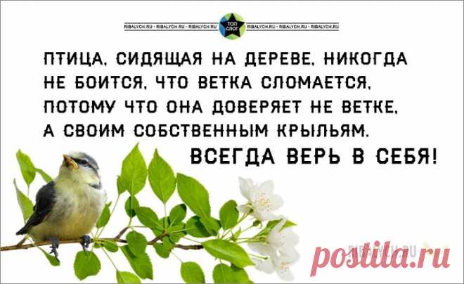 ВЕСЕЛЫЕ КАРТИНКИ ДЛЯ ПОДНЯТИЯ НАСТРОЕНИЯ)