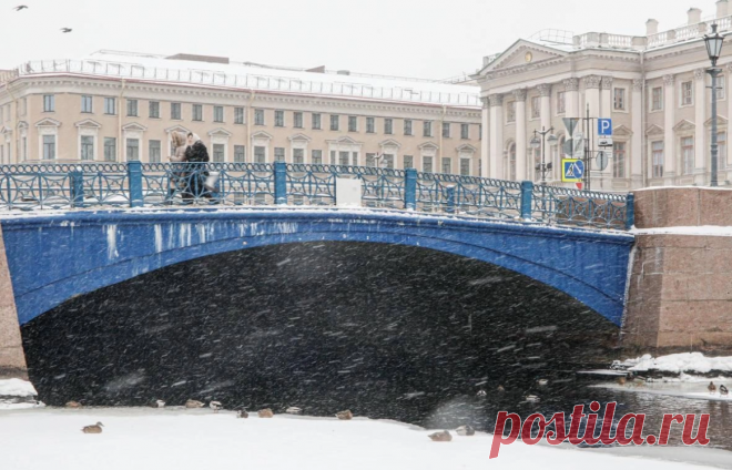 Скриншот - 2025-03-02 20:14:16
