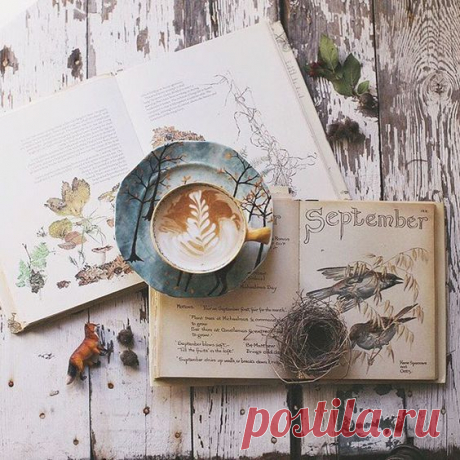 (10) Pinterest