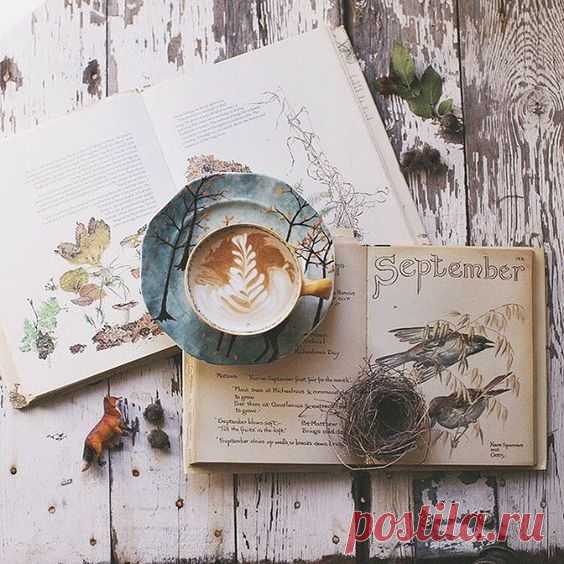 (10) Pinterest