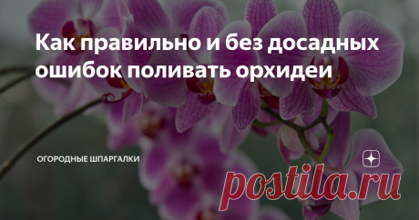Как правильно и без досадных ошибок поливать орхидеи Рассказываем, как правильно организовать полив орхидей дома и что нужно для этого.
