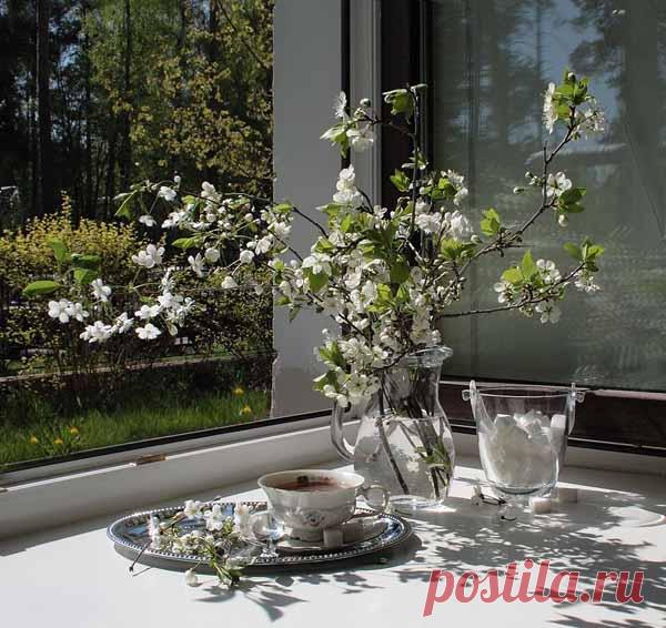 Магия цветов в романтических натюрмортах Луизы Гельтс(Luiza Gelts) 
Здравствуй, Утро!
Luiza Gelts работает в жанре фотонатюрморта. Это не просто. И не просто по той причине, что в этой нише фотографов не просто много, а очень много. Высокая конкуренция и много призна…