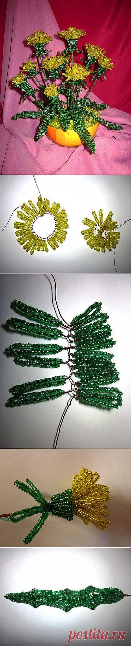 Одуванчики. (