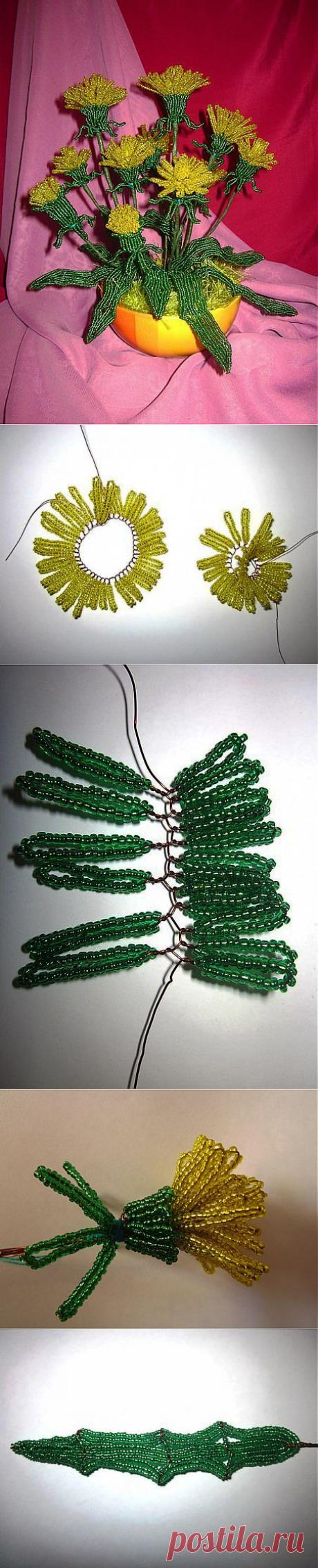 Одуванчики. (