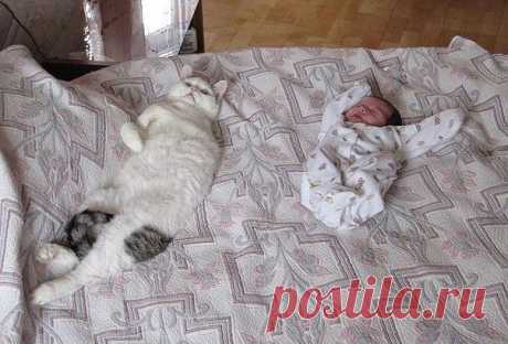 )))))))))) ПРИКОЛЬНО!!!!