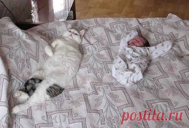 )))))))))) ПРИКОЛЬНО!!!!