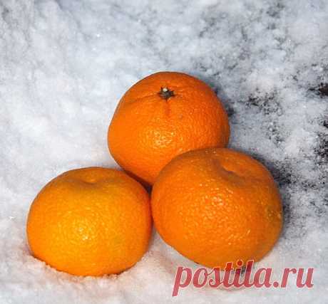 КАКОЙ СЕГОДНЯ ПРАЗДНИК? 15 Декабря 2017 г. – Пятница • Международный день чая (International Tea Day) • День приручения уличных фонарей • Ночь валяния под лавкой • День памяти журналистов, погибших при исполнении профессиональных обязанностей26 лет • День Заменгофа • День радиотехнических войск ВКС РФ66 лет • День работников суда - Украина • День королевства - Нидерланды • Национальный день кекса (National Cupcake Day) - США • День памяти жертв «Греческой операции» НКВД • День Билля о правах…