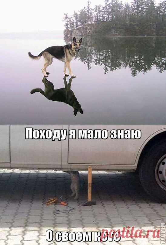 Одноклассники