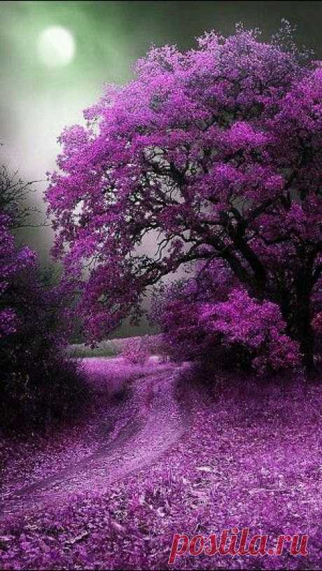 (3) Pinterest • The world’s catalog of ideas