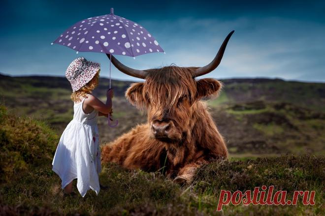 Почувствуйте себя ребенком. Есть простой способ, как значительно повысить свою креативность. Заключается он в следующем. Перед тем, как сесть за творческую работу, представьте себя семилетним ребенком. Вспомните любимые игрушки в этом возрасте или какой-нибудь эпизод из детства. Дети креативны, потому что не сомневаются в себе.
Исследования показали, что после такого воспоминания люди генерируют больше идей. «Отправившись» в прошлое, ваш мозг настраивается на детскую волну...