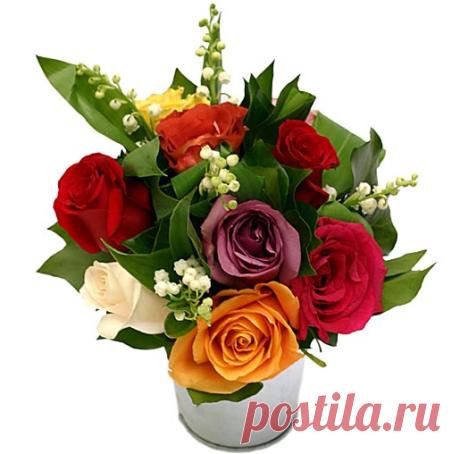 хх