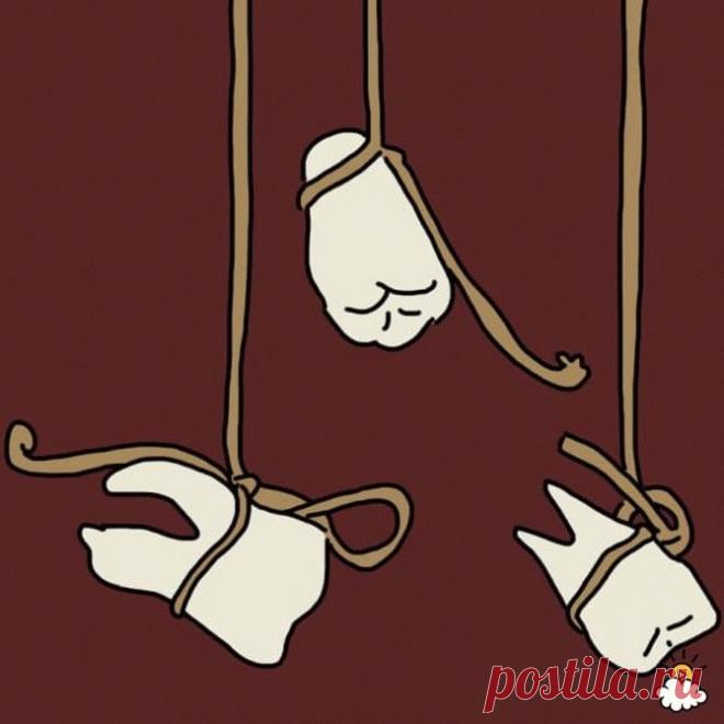 Сны – подсказки подсознания — Всегда в форме!