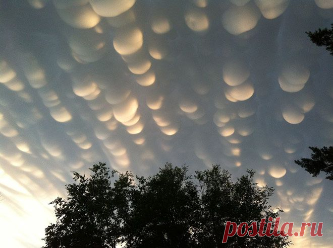 GISMETEO.RU: 5 самых странных видов облаков: фото | Климат | Новости погоды.