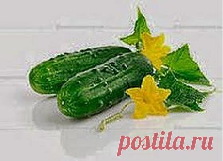 Маска красоты | Друг пенсионера
Рецепт этой маски для лица мне известен давно. С тех пор узнала много новых рецептов, а уж сколько косметики в магазинах появилось! Тем не менее, я продолжаю пользоваться этим ста­ринным рецептом и очень им до­вольна. Больше всего эта маска под­ходит для комбинированной кожи.