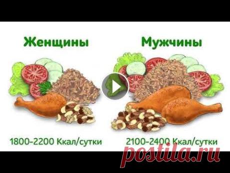 Здоровое питание Cезон 1, Серия 1 Видеоролик для просмотра в рамках обучения по санитарно-просветительской программе "Основы здорового питания"....