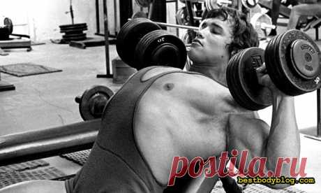 Грудь Арнольда. Рецепт создания | bestbodyblog.com