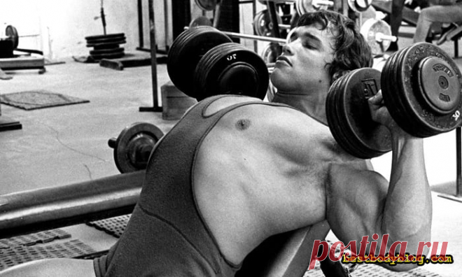 Грудь Арнольда. Рецепт создания | bestbodyblog.com