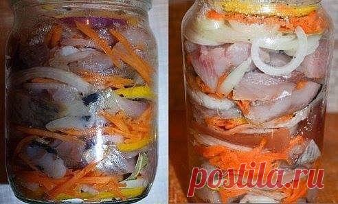 Селёдочка по голландски.