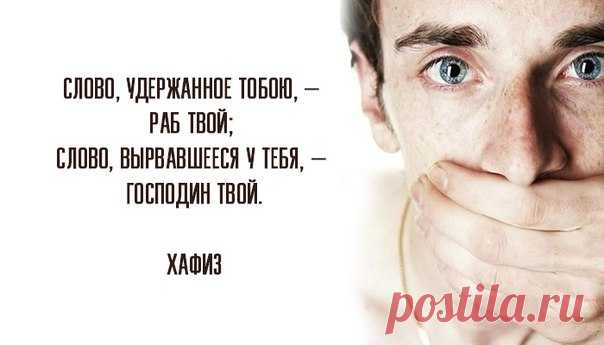 Философия Жизни
