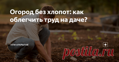 Огород без хлопот: как облегчить труд на даче? Огород – дело хлопотное, скажет любой дачник. А с возрастом, когда сил становится меньше, гораздо труднее ухаживать за грядками. В этой статье узнаем, что рекомендуют эксперты для того, чтобы облегчить труд на даче?
Создать умные грядки. Суть очень проста — ограничить грядку любым материалом, иными словами создать борты по периметру (досками, кирпичами или камнями). Так грядка не будет выходить