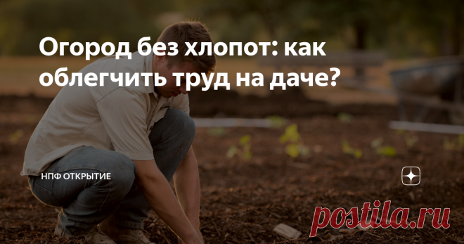 Огород без хлопот: как облегчить труд на даче? Огород – дело хлопотное, скажет любой дачник. А с возрастом, когда сил становится меньше, гораздо труднее ухаживать за грядками. В этой статье узнаем, что рекомендуют эксперты для того, чтобы облегчить труд на даче?
Создать умные грядки. Суть очень проста — ограничить грядку любым материалом, иными словами создать борты по периметру (досками, кирпичами или камнями). Так грядка не будет выходить