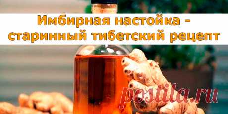 Имбирная настойка — старинный тибетский рецепт | Полезные советы
