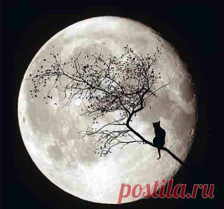 мистика