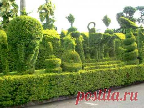 JARDIM QUINTAL PLANTAS  ESCULTURA