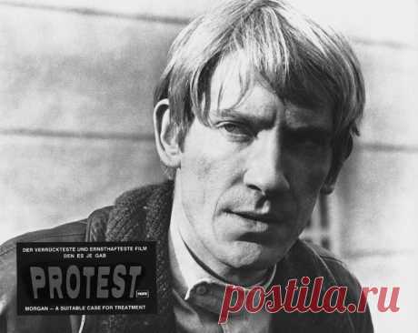 Дэвид Уорнер, 29 июля, 1941 • 24 июля 2022