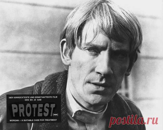 Дэвид Уорнер, 29 июля, 1941 • 24 июля 2022