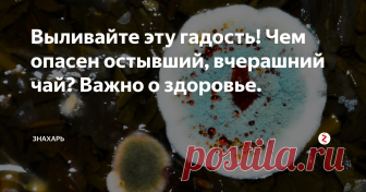Выливайте эту гадость! Чем опасен остывший, вчерашний чай? Важно о здоровье. Сегодня весьма необыкновенная статья, о которой я написал только исходя из личного, бытового опыта, подкреплённого медицинскими знаниями.
Не знаю как у вас, но у меня постоянно такое:
Частая ситуация у занятых, вечно неуспевающих людей - заварили чай, но выпить его не успели, нужно уже бежать на работу, вот вот приедет транспорт по расписанию. Если не успеть на него, придется вызывать такси.
А пот