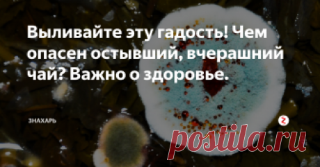Выливайте эту гадость! Чем опасен остывший, вчерашний чай? Важно о здоровье. Сегодня весьма необыкновенная статья, о которой я написал только исходя из личного, бытового опыта, подкреплённого медицинскими знаниями.
Не знаю как у вас, но у меня постоянно такое:
Частая ситуация у занятых, вечно неуспевающих людей - заварили чай, но выпить его не успели, нужно уже бежать на работу, вот вот приедет транспорт по расписанию. Если не успеть на него, придется вызывать такси.
А пот