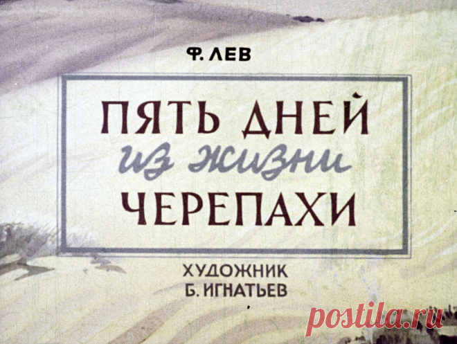 Пять дней из жизни черепахи