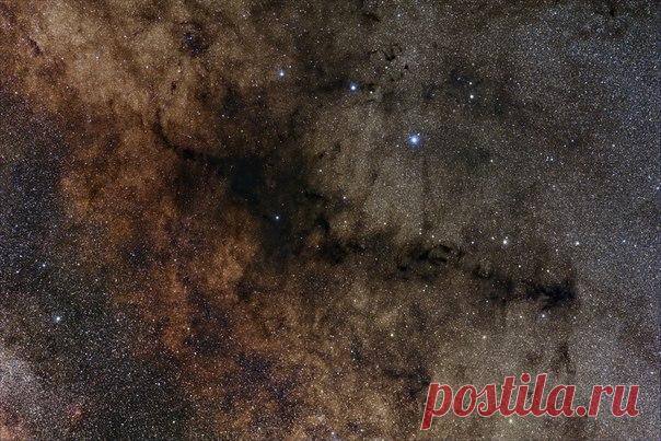 Темная туманность в центре называется Курительная Трубка. Темные облака при некоторой доли фантазии можно посчитать дымом, поднимающимся от курительной трубки. Они состоят из пыли, поглощающей свет от фоновых звезд. По облакам можно отследить путь к туманности около звезды ρ Змееносца, которая находится в верхней части снимка. На этой изображения обнаруживаются несколько типов туманностей: красные эмиссионные, голубые отражательные и темные поглощающие / Интересный космос