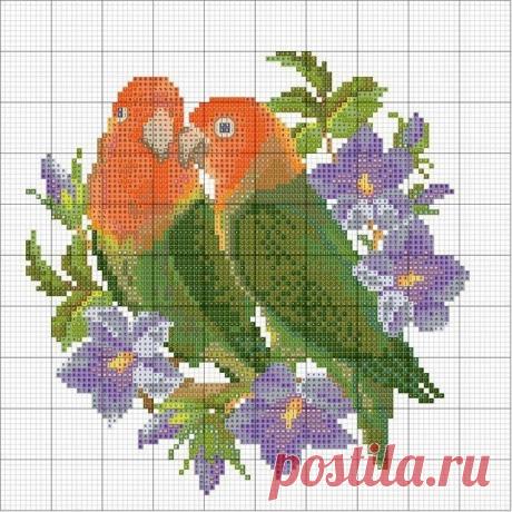 Яндекс.Фотки