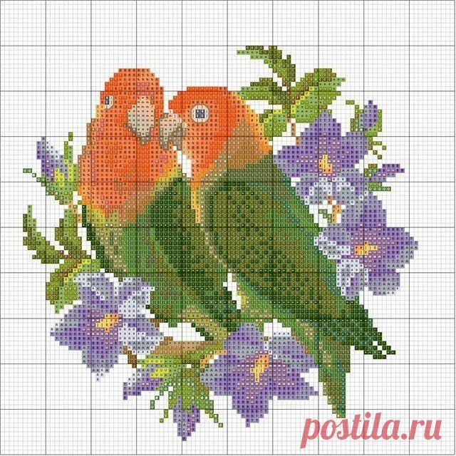 Яндекс.Фотки