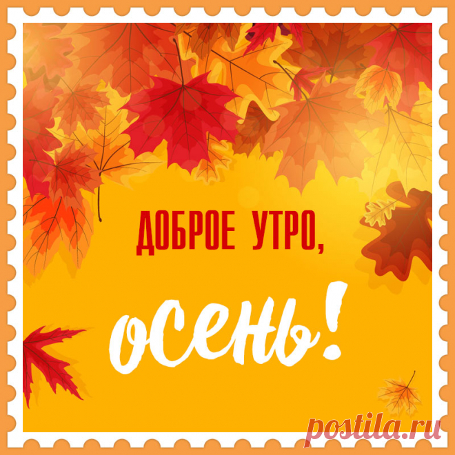 Картинка с листьями и надписью доброе утро, осень!
Привет, я автор этой открытки Анна Кузнецова.
Если вам понравилась картинка, то на сайте СанПик вы найдёте сотни открыток для WhatsApp и Viber на все случаи жизни моей работы.