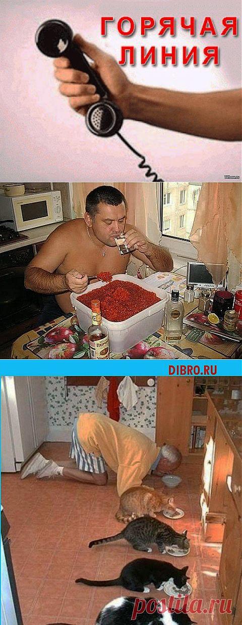 Реальный звонок на горячую линии компании | ОБОРЖАКА ;)