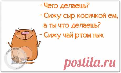 Позитивные фразки в картинках 
 



 

 

 

 

 

 

 

 

 

 

 

 

 

 

 

 

 

 

 

 

 

 

 

 

 
https://www.radionetplus.ru/izobrazhenija/zabavnye_foto/57330...
